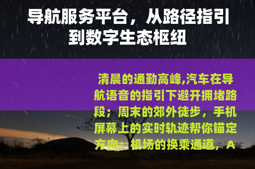 导航服务平台，从路径指引到数字生态枢纽
