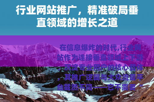 行业网站推广，精准破局垂直领域的增长之道