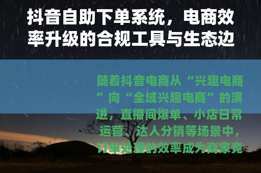 抖音自助下单系统，电商效率升级的合规工具与生态边界