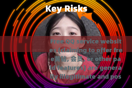 Key Risks