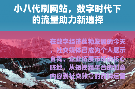 小八代刷网站，数字时代下的流量助力新选择