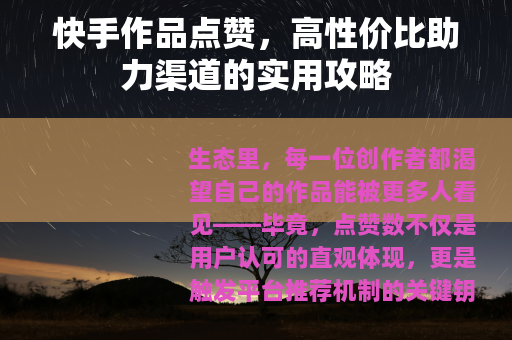 快手作品点赞，高性价比助力渠道的实用攻略