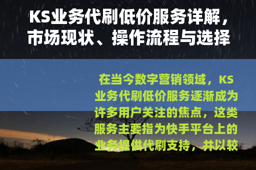 KS业务代刷低价服务详解，市场现状、操作流程与选择策略
