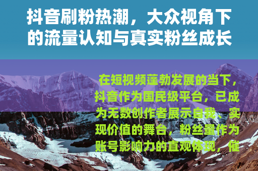抖音刷粉热潮，大众视角下的流量认知与真实粉丝成长路径