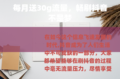 每月送30g流量，畅刷抖音不是梦