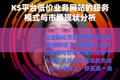KS平台低价业务网站的服务模式与市场现状分析