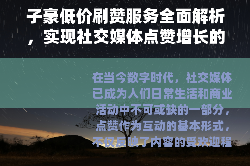 子豪低价刷赞服务全面解析，实现社交媒体点赞增长的经济途径