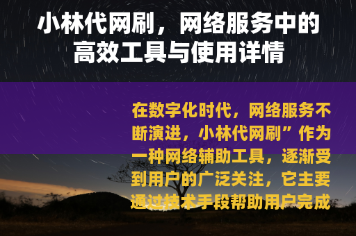 小林代网刷，网络服务中的高效工具与使用详情