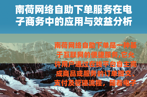 南荷网络自助下单服务在电子商务中的应用与效益分析