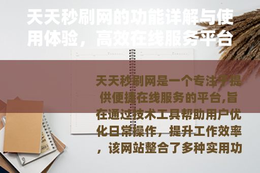 天天秒刷网的功能详解与使用体验，高效在线服务平台的全方位介绍