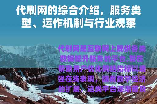 代刷网的综合介绍，服务类型、运作机制与行业观察