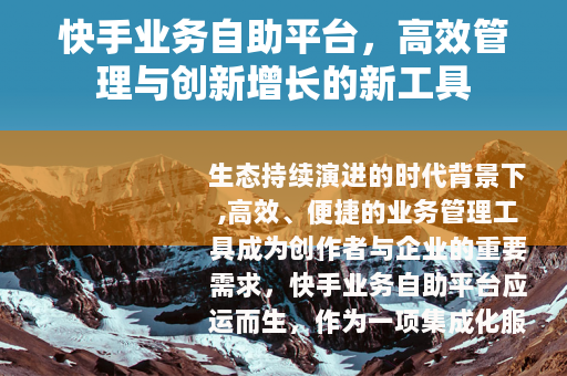 快手业务自助平台，高效管理与创新增长的新工具