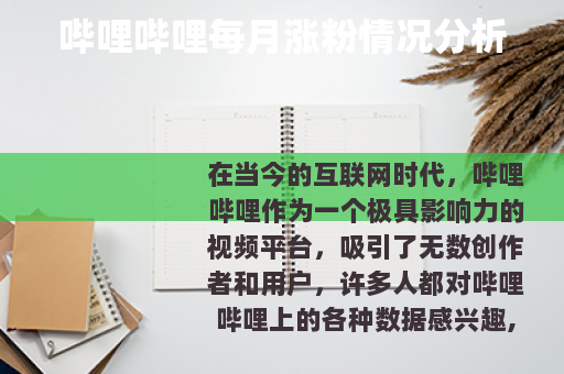 哔哩哔哩每月涨粉情况分析