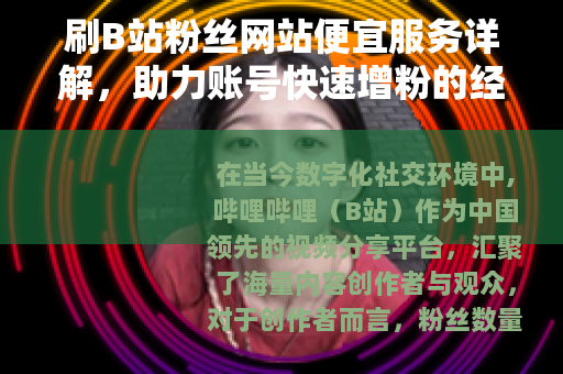 刷B站粉丝网站便宜服务详解，助力账号快速增粉的经济选择
