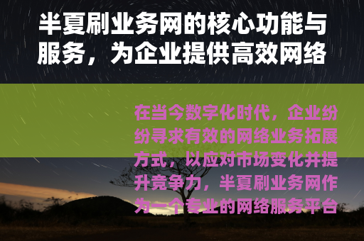 半夏刷业务网的核心功能与服务，为企业提供高效网络业务解决方案