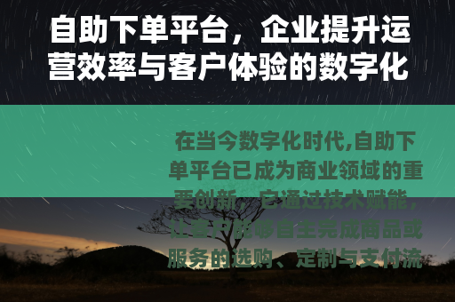 自助下单平台，企业提升运营效率与客户体验的数字化解决方案