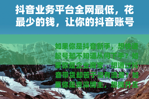 抖音业务平台全网最低，花最少的钱，让你的抖音账号快速起飞！