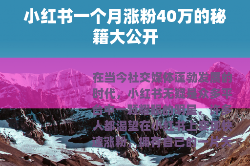 小红书一个月涨粉40万的秘籍大公开