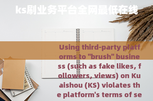 ks刷业务平台全网最低在线