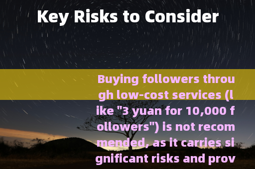 Key Risks to Consider