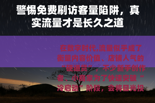 警惕免费刷访客量陷阱，真实流量才是长久之道
