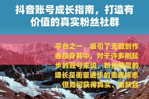 抖音账号成长指南，打造有价值的真实粉丝社群