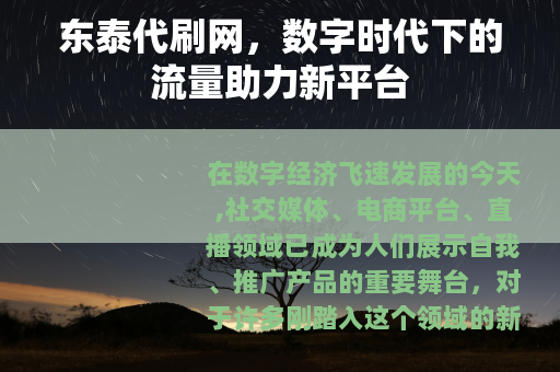 东泰代刷网，数字时代下的流量助力新平台