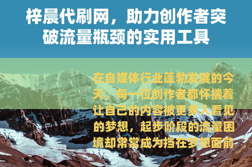 梓晨代刷网，助力创作者突破流量瓶颈的实用工具
