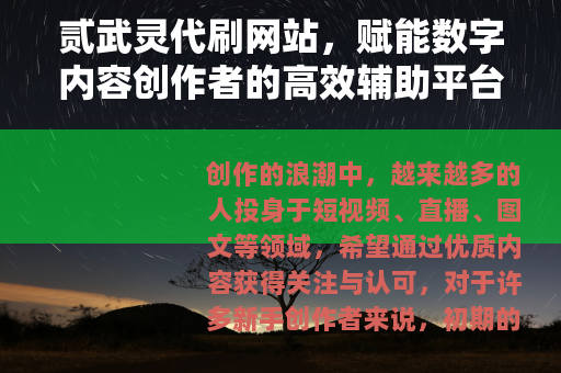 贰武灵代刷网站，赋能数字内容创作者的高效辅助平台