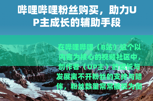 哔哩哔哩粉丝购买，助力UP主成长的辅助手段