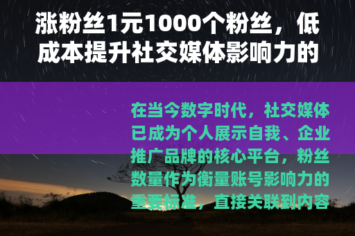 涨粉丝1元1000个粉丝，低成本提升社交媒体影响力的综合指南