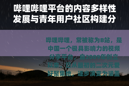 哔哩哔哩平台的内容多样性发展与青年用户社区构建分析