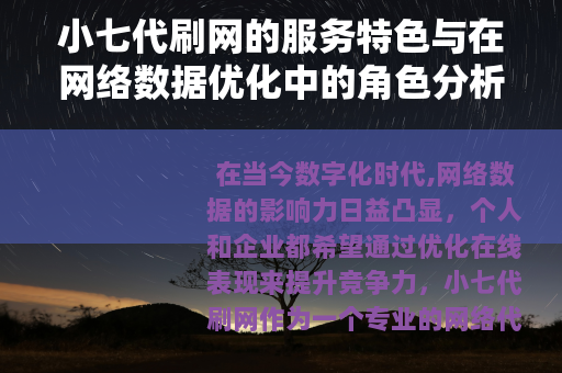 小七代刷网的服务特色与在网络数据优化中的角色分析