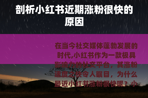 剖析小红书近期涨粉很快的原因