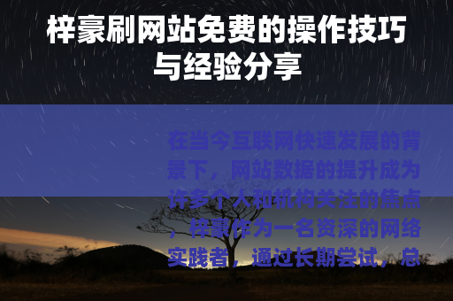 梓豪刷网站免费的操作技巧与经验分享