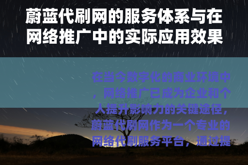 蔚蓝代刷网的服务体系与在网络推广中的实际应用效果分析