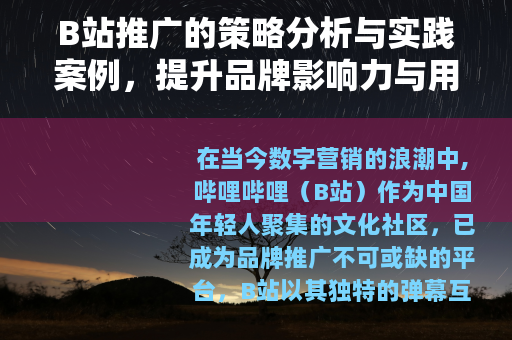 B站推广的策略分析与实践案例，提升品牌影响力与用户参与度