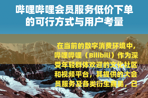 哔哩哔哩会员服务低价下单的可行方式与用户考量