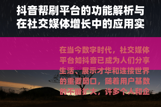 抖音帮刷平台的功能解析与在社交媒体增长中的应用实践