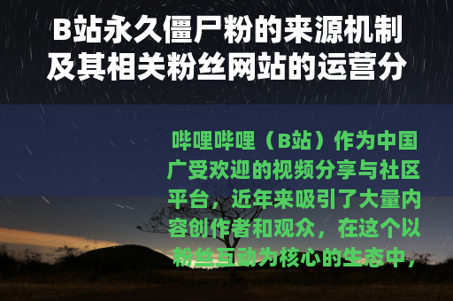 B站永久僵尸粉的来源机制及其相关粉丝网站的运营分析