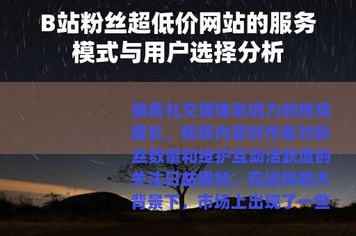 B站粉丝超低价网站的服务模式与用户选择分析