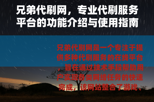 兄弟代刷网，专业代刷服务平台的功能介绍与使用指南
