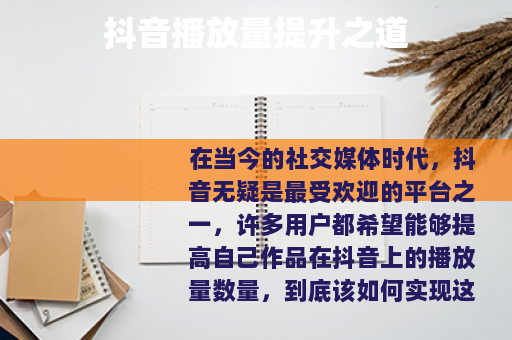 抖音播放量提升之道