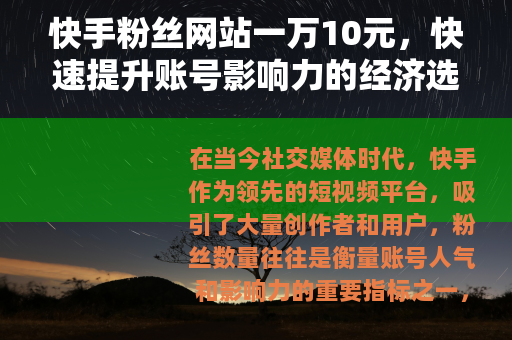 快手粉丝网站一万10元，快速提升账号影响力的经济选择