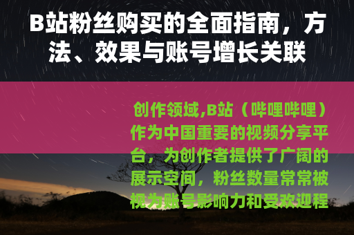 B站粉丝购买的全面指南，方法、效果与账号增长关联