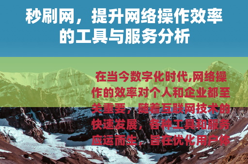 秒刷网，提升网络操作效率的工具与服务分析