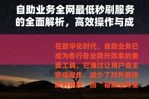 自助业务全网最低秒刷服务的全面解析，高效操作与成本优势
