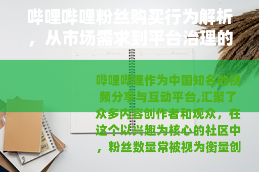 哔哩哔哩粉丝购买行为解析，从市场需求到平台治理的全面视角
