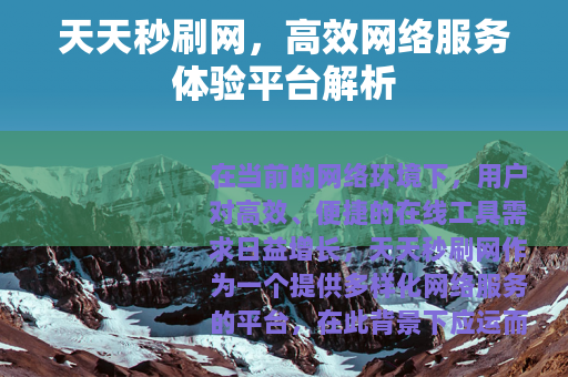 天天秒刷网，高效网络服务体验平台解析