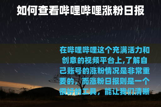 如何查看哔哩哔哩涨粉日报